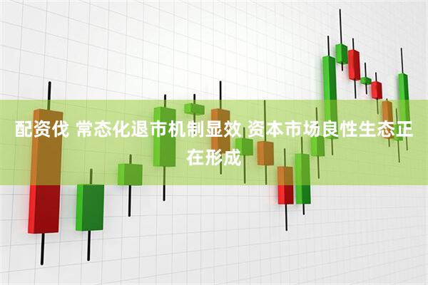 配资伐 常态化退市机制显效 资本市场良性生态正在形成