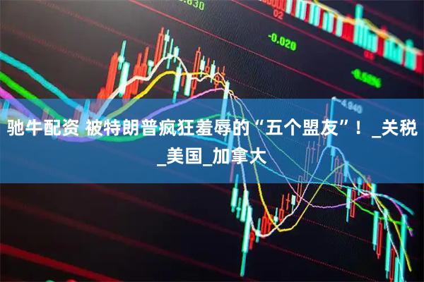 驰牛配资 被特朗普疯狂羞辱的“五个盟友”！_关税_美国_加拿大