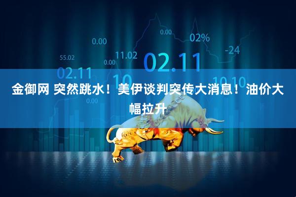 金御网 突然跳水！美伊谈判突传大消息！油价大幅拉升